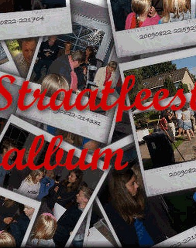 Straatfeest Berkenlaan Peize