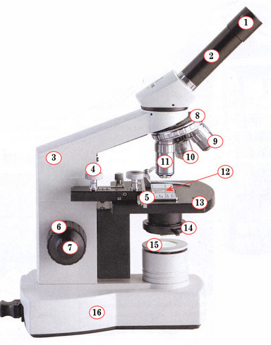 Biologie microscoop